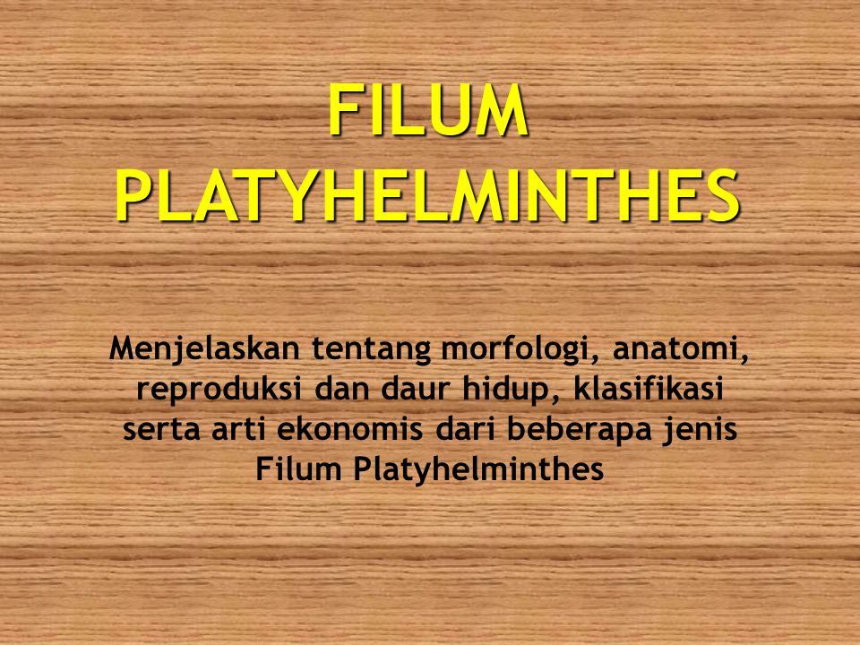 platyhelminthes cacing ppt