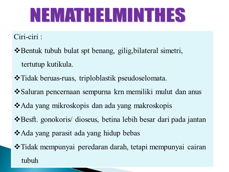 nemathelminthes ppt)
