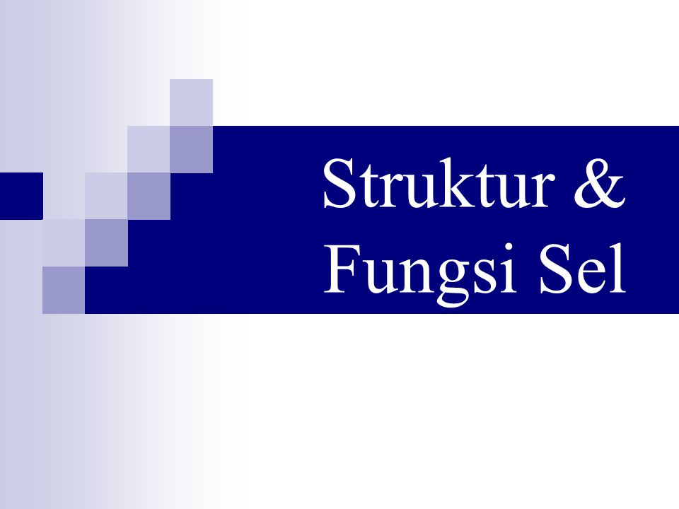 Struktur Fungsi Sel Ppt Download