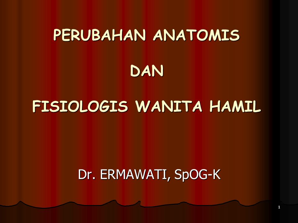 Perubahan Anatomis Dan Fisiologis Wanita Hamil Ppt Download