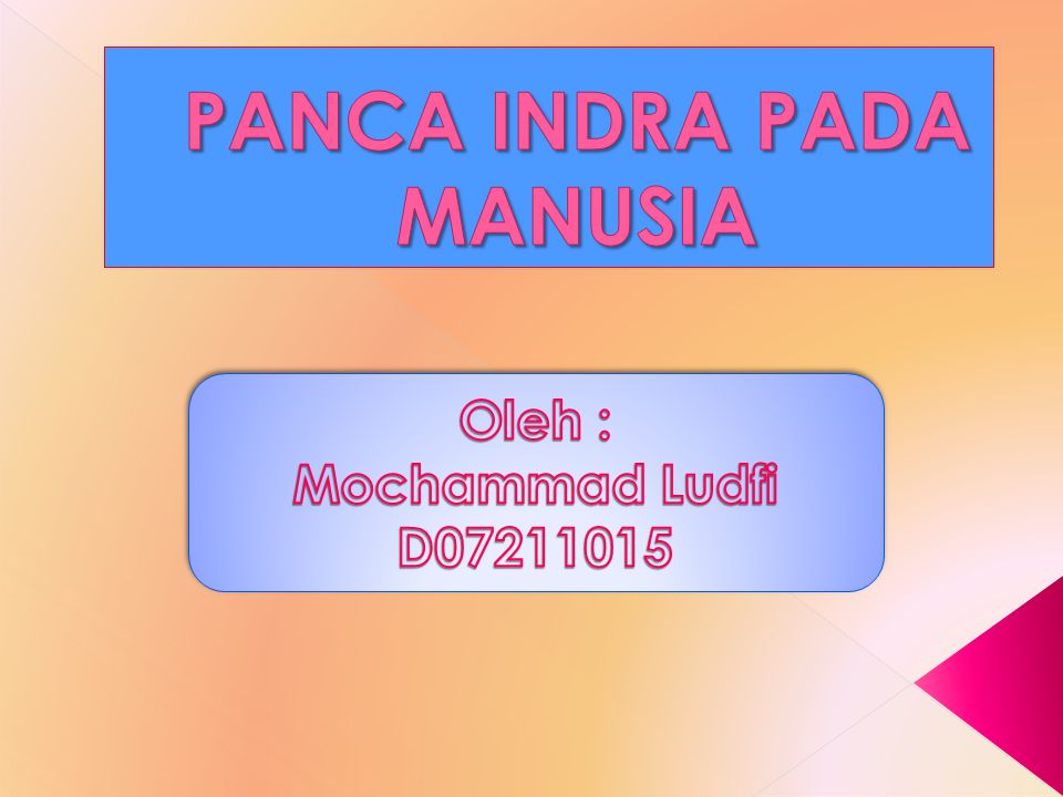 Panca Indra Pada Manusia Ppt Download