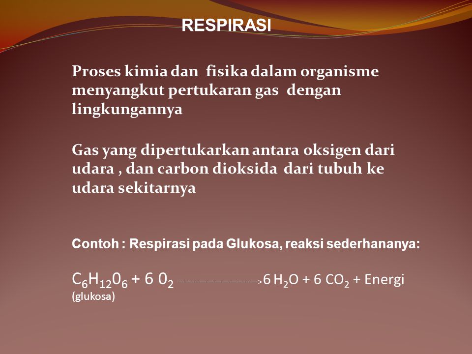 Respirasi Proses Kimia Dan Fisika Dalam Organisme Menyangkut Pertukaran Gas Dengan Lingkungannya Gas Yang Dipertukarkan Antara Oksigen Dari Udara Dan Ppt Download