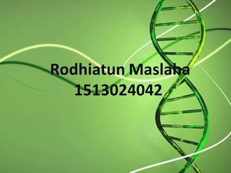 Rodhiatun Maslaha 1513024042. Peta konsep jalur polipetida yang dimulai dari ribosom menuju ke berbagai tempat target. Garis warna merah menunjukkan bahwa.