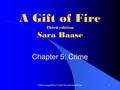 Slides prepared by Cyndi Chie and Sarah Frye1 A Gift of Fire Third edition Sara Baase Chapter 5: Crime.