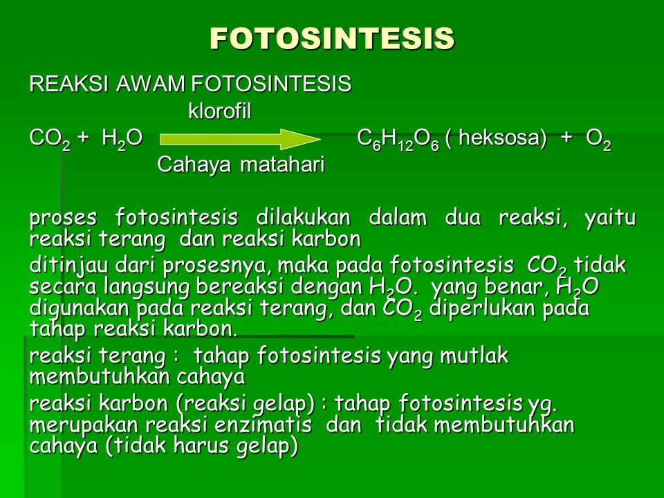 Fotosintesis Reaksi Awam Fotosintesis Klorofil Ppt Download