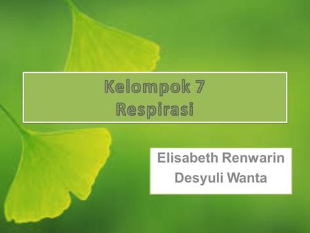 Elisabeth Renwarin Desyuli Wanta. OVERVIEW OF PLANT RESPIRATION Aerobic respiration is the biological process by which reduced organic compounds are mobilized.