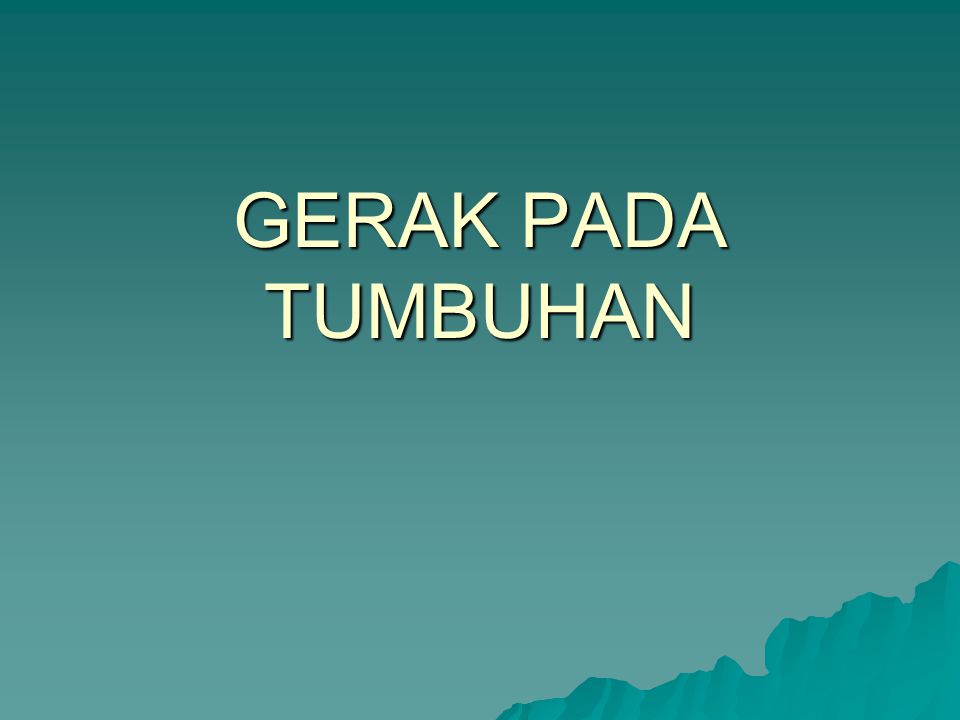 Gerak Pada Tumbuhan Ppt Download