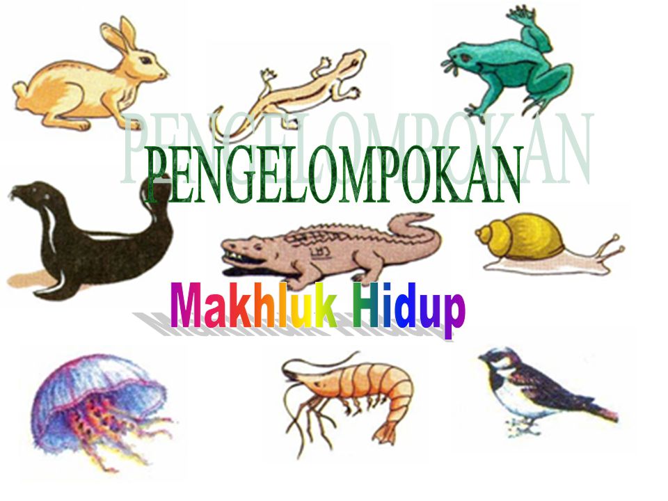 Pengelompokan Makhluk Hidup Ppt Download