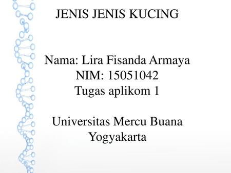 JENIS JENIS KUCING Nama: Lira Fisanda Armaya NIM: 15051042 Tugas aplikom 1 Universitas Mercu Buana Yogyakarta.