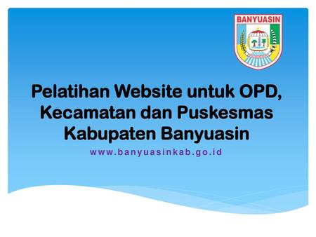 Pelatihan Website untuk OPD, Kecamatan dan Puskesmas Kabupaten Banyuasin www.banyuasinkab.go.id.