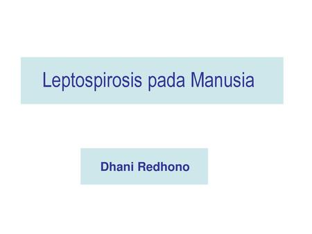 Leptospirosis pada Manusia