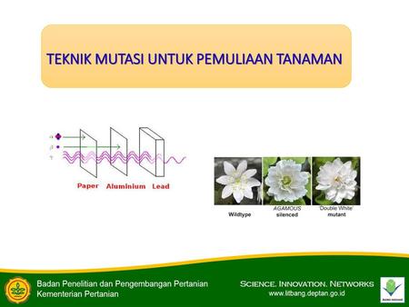 TEKNIK MUTASI UNTUK PEMULIAAN TANAMAN