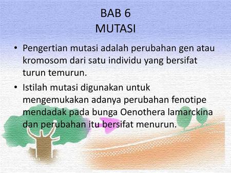 BAB 6 MUTASI Pengertian mutasi adalah perubahan gen atau kromosom dari satu individu yang bersifat turun temurun. Istilah mutasi digunakan untuk mengemukakan.
