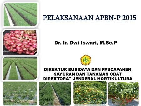 PELAKSANAAN APBN-P 2015 Dr. Ir. Dwi Iswari, M.Sc.P