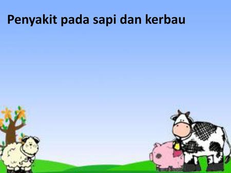 Penyakit pada sapi dan kerbau