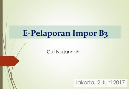 E-Pelaporan Impor B3 Cut Nurjannah Jakarta, 2 Juni 2017.