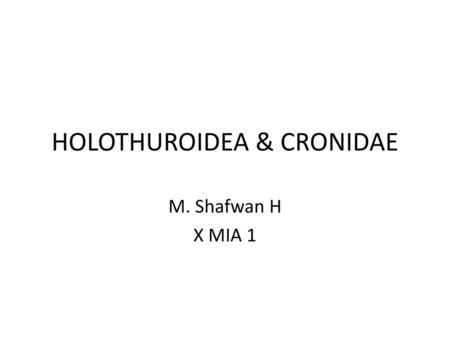 HOLOTHUROIDEA & CRONIDAE