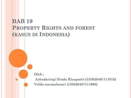 BAB 19 Property Rights and forest (kasus di Indonesia)