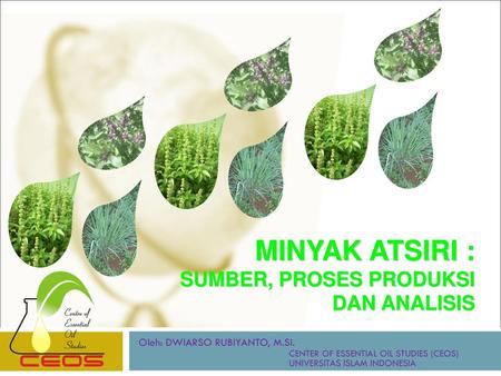 MINYAK ATSIRI : SUMBER, PROSES PRODUKSI DAN ANALISIS