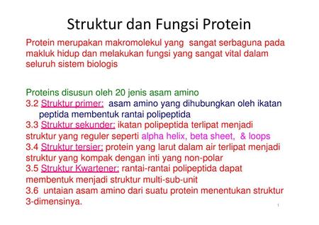 Struktur dan Fungsi Protein
