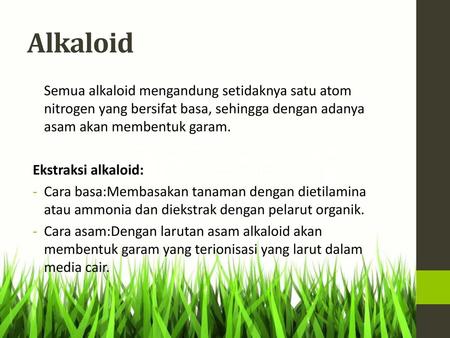 Alkaloid Semua alkaloid mengandung setidaknya satu atom nitrogen yang bersifat basa, sehingga dengan adanya asam akan membentuk garam. Ekstraksi alkaloid: