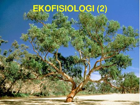 EKOFISIOLOGI (2).
