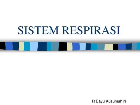 SISTEM RESPIRASI R Bayu Kusumah N.