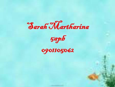 Sarah Martharina 5apb 0901105062.