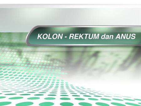 KOLON - REKTUM dan ANUS.