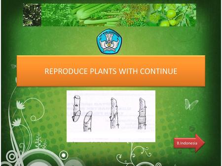 REPRODUCE PLANTS WITH CONTINUE