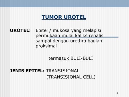 TUMOR UROTEL UROTEL: 	Epitel / mukosa yang melapisi 			permukaan mulai kaliks renalis 			sampai dengan urethra bagian 			proksimal termasuk BULI-BULI JENIS.