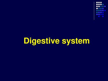 Digestive system.