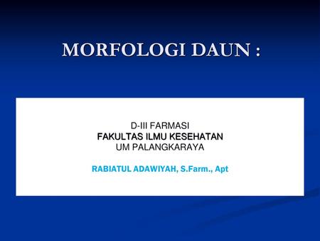 MORFOLOGI DAUN : D-III FARMASI FAKULTAS ILMU KESEHATAN UM PALANGKARAYA RABIATUL ADAWIYAH, S.Farm., Apt.