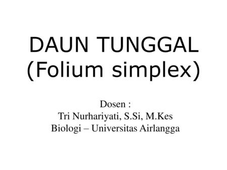 DAUN TUNGGAL (Folium simplex)