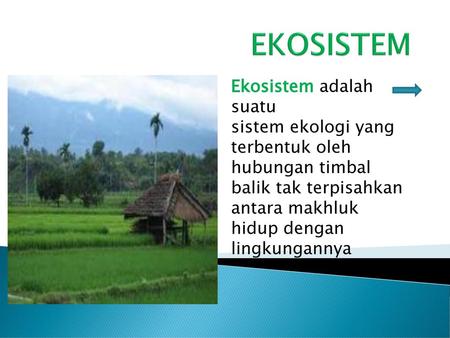 EKOSISTEM Ekosistem adalah suatu sistem ekologi yang terbentuk oleh hubungan timbal balik tak terpisahkan antara makhluk hidup dengan lingkungannya.