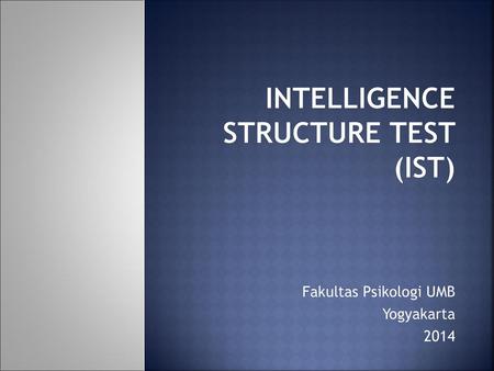 Intelligence Structure Test (IST)