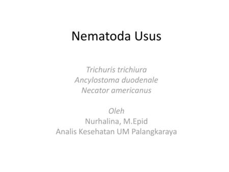Nematoda Usus Trichuris trichiura Ancylostoma duodenale