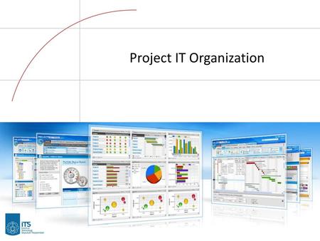 Project IT Organization