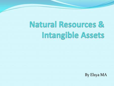 Natural Resources & Intangible Assets