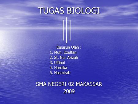 TUGAS BIOLOGI SMA NEGERI 02 MAKASSAR 2009 Disusun Oleh :