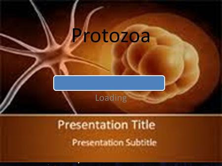 Protozoa Loading.