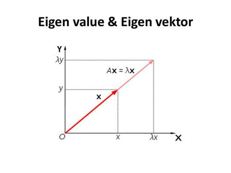 Eigen value & Eigen vektor