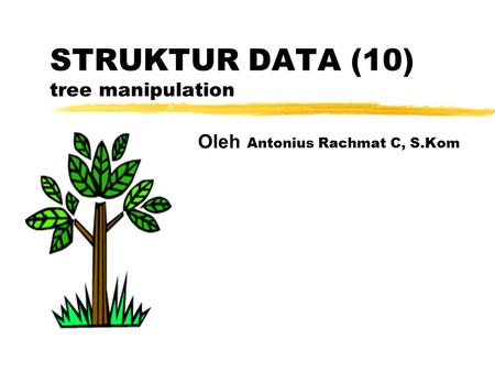 STRUKTUR DATA (10) tree manipulation