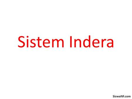 Sistem Indera SiswaNF.com.