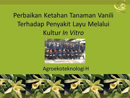Perbaikan Ketahan Tanaman Vanili Terhadap Penyakit Layu Melalui Kultur In Vitro Agroekoteknologi H.