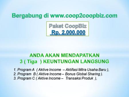 1. Program A ( Aktive Income – Aktifasi Mitra Usaha Baru ), 2. Program B ( Aktive Income – Bonus Global Sharing ). 3. Program C ( Aktive Income – Transaksi.