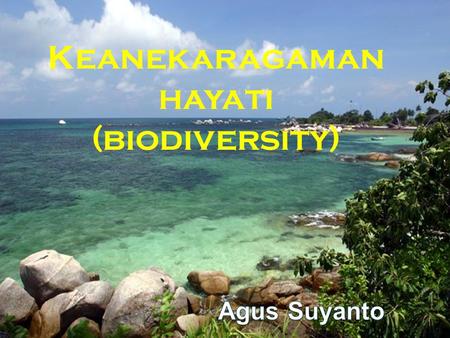 Keanekaragaman hayati (biodiversity)