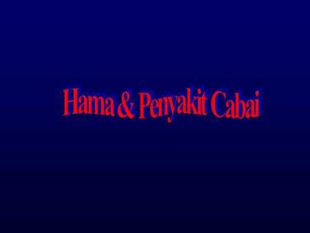 Hama & Penyakit Cabai.