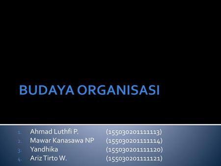 BUDAYA ORGANISASI Ahmad Luthfi P. ( )