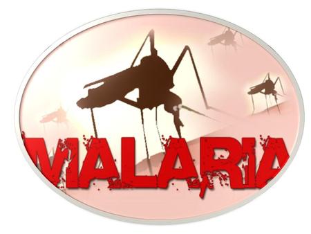 Kata malaria berasal dari bahasa Italia yaitu Male dan Aria yang berarti hawa buruk. Pada zaman dulu, orang beranggapan bahwa malaria disebabkan oleh udara.